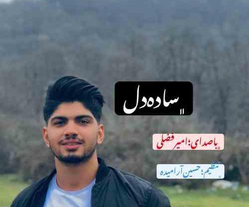 عکس امیر فضلی خواننده