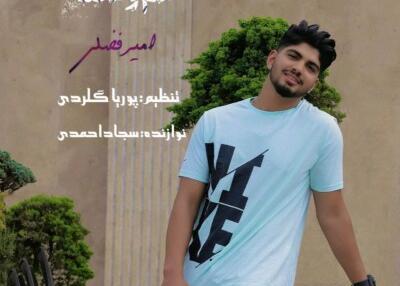 عکس امیر فضلی خواننده