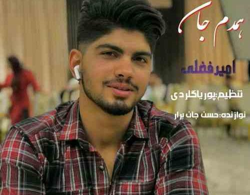 عکس امیر فضلی خواننده