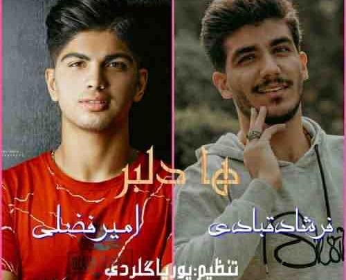 عکس امیر فضلی خواننده