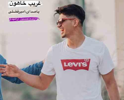 عکس امیر فضلی خواننده