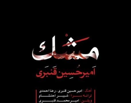عکس امیرمحمد قنبری