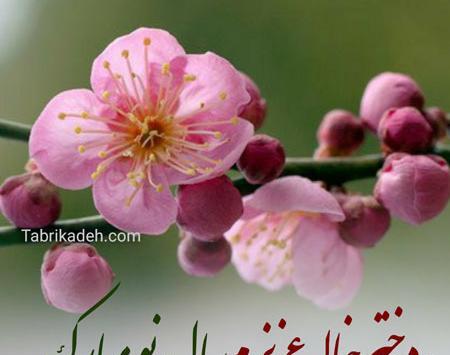 عکس نوشته تبریک سال نو به دختر خاله