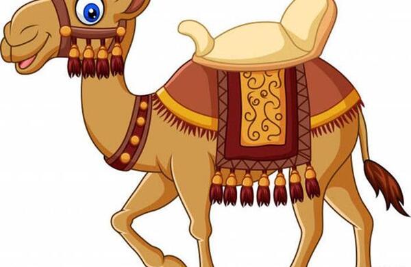 عکس شتر کارتونی