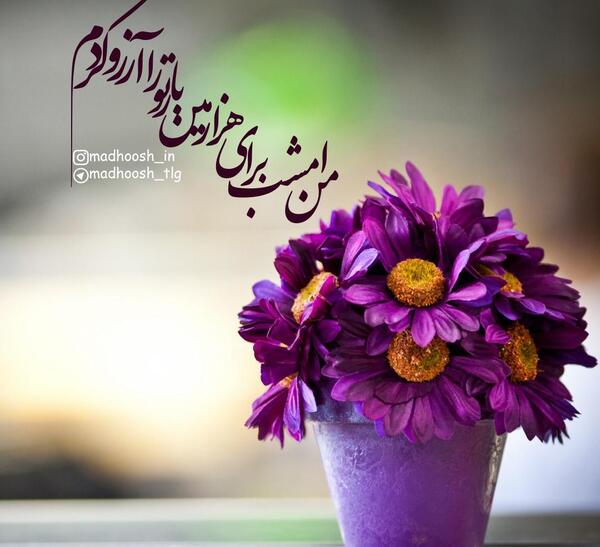عکس نوشته آرزو کردم تورا امشب برای هر شبم