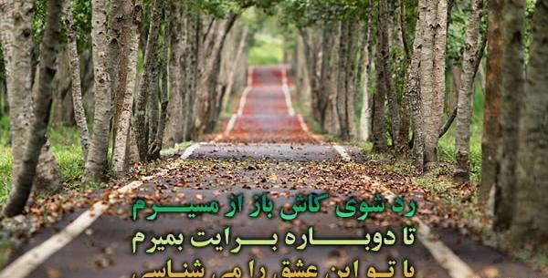 عکس نوشته شعر مریم حیدر زاده