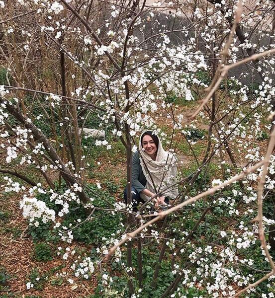 عکس بهار شکوفه