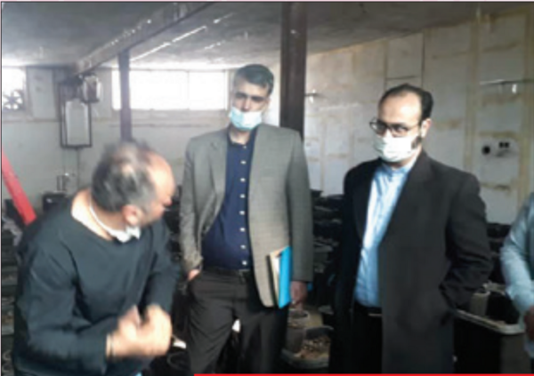 عکس جواد زرقانی