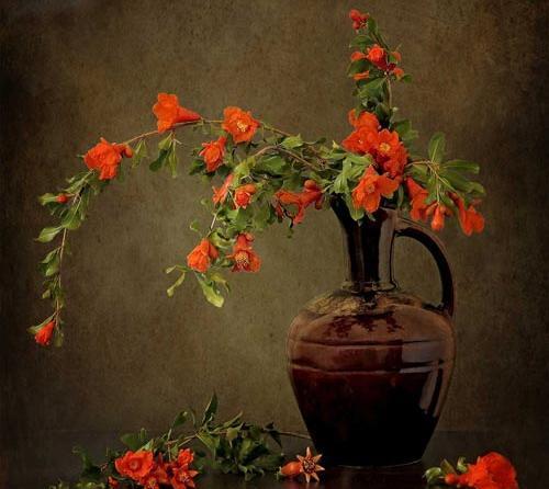 عکس گل های زیبا با گلدان
