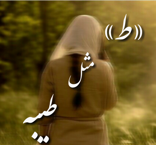 عکس تولدت مبارک طیبه جان