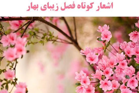 عکس بهار نزدیک است