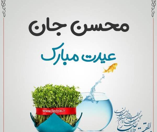 عکس محسن جان