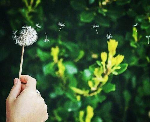 عکس زیبا برای پروفایل بدون متن