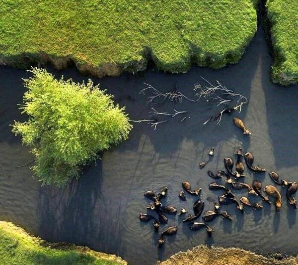 عکس هوایی صومعه سرا