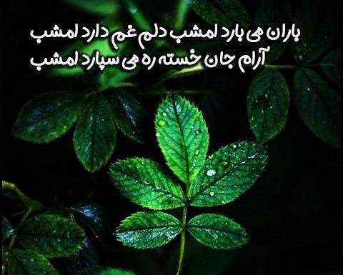 عکس باران میبارد امشب