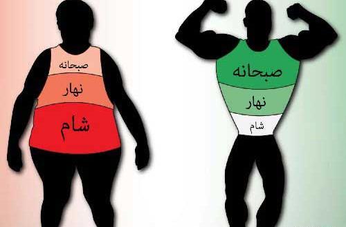 عکس طنز چاقی