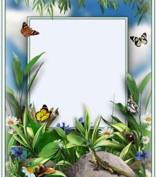 عکس پروانه جهت طراحی