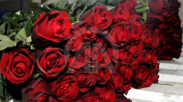 عکس برای ولنتاین گل