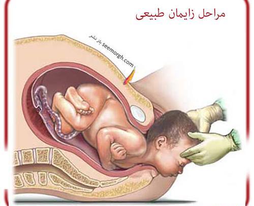 عکسهای بارداری طبیعی