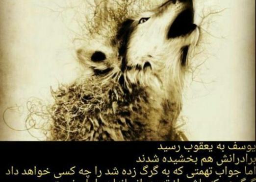 عکس گرگ با جمله