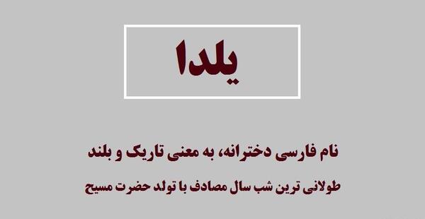 عکس کیوت به چه معناست
