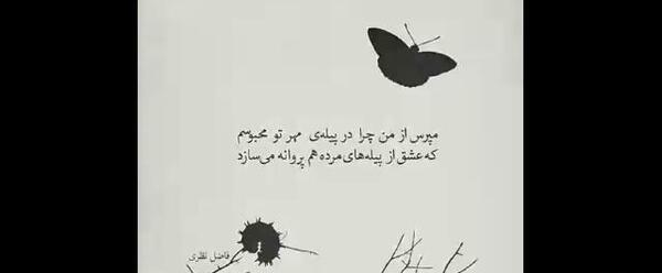 عکس نوشته پیله پروانه