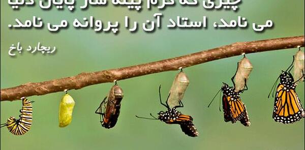 عکس نوشته پیله پروانه