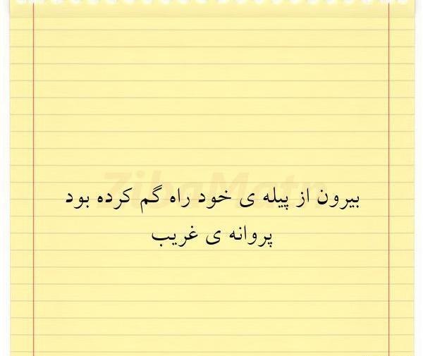 عکس نوشته پیله پروانه