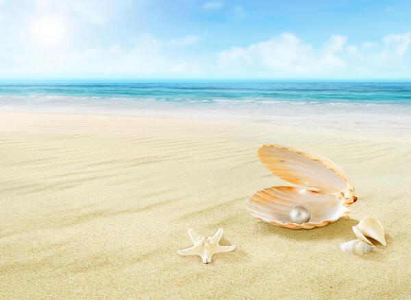 عکس صدف زمانی