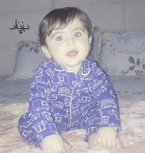 عکس همسر طارق همام