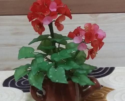 عکس گل مریم با کریستال