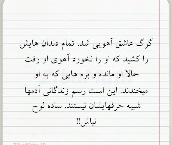 عکس ساده نباش