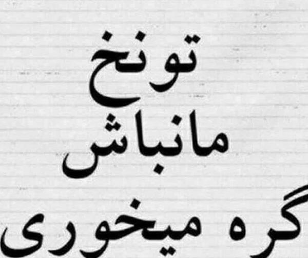 عکس ساده نباش