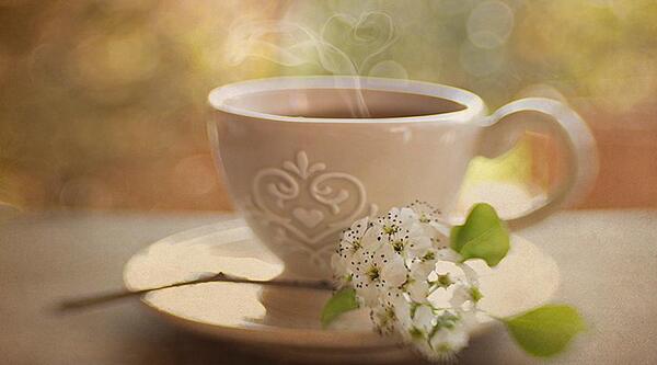 عکس چای فنجان