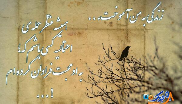 عکس مفهومی و معنی دار
