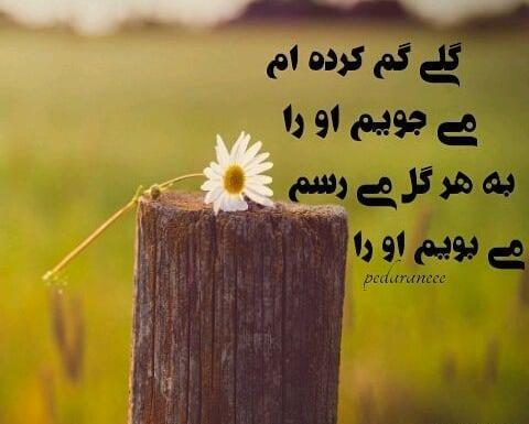 عکس نوشته پدر سفر کرده