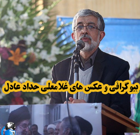 عکس زهرا حداد عادل