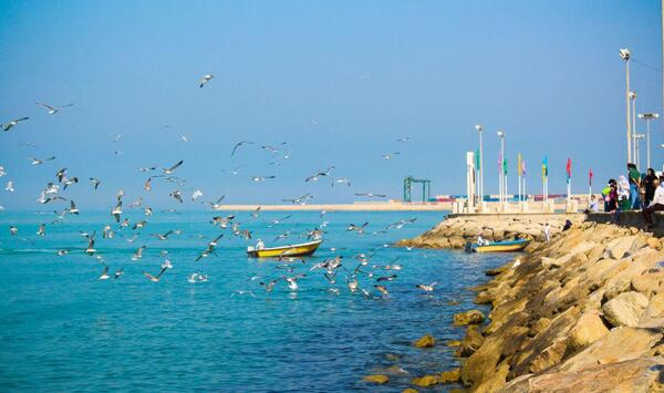 عکس دریا خلیج فارس