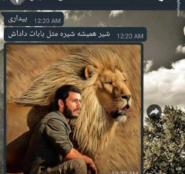 عکس امام علی شیر خدا