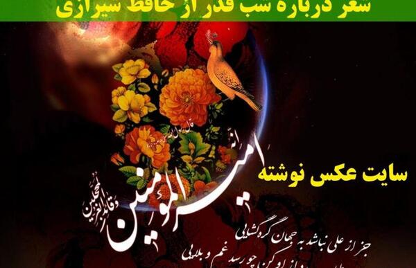 عکس حافظ پروفایل