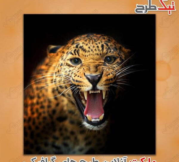 عکس سه بعدی یوز پلنگ
