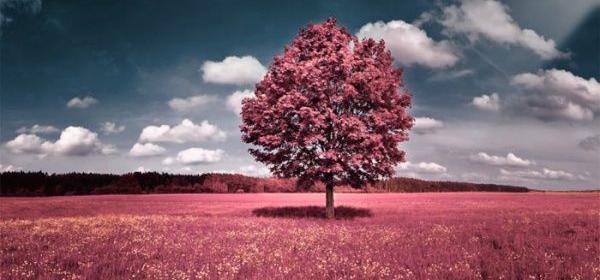 عکس تصاویر زیبای طبیعت رویایی
