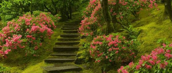 عکس تصاویر زیبای طبیعت رویایی