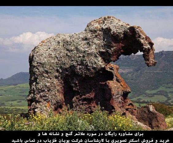 عکس فیل در دفینه یابی