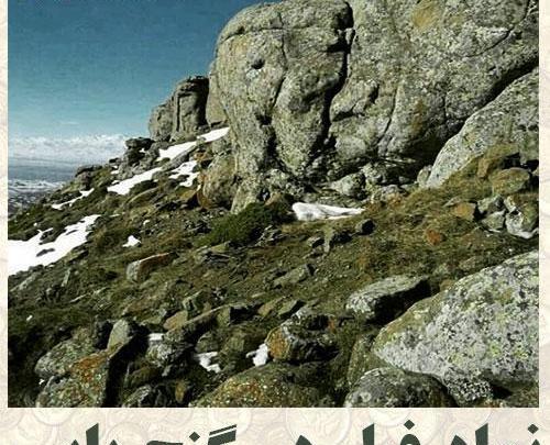 عکس فیل در دفینه یابی