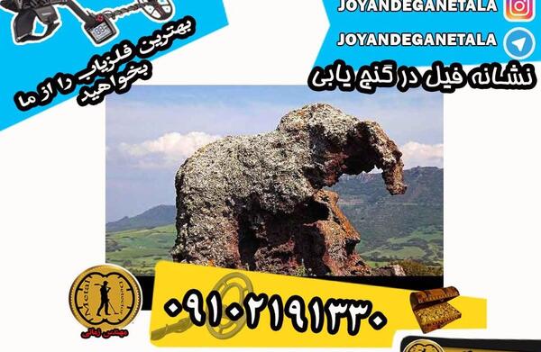عکس فیل در دفینه یابی