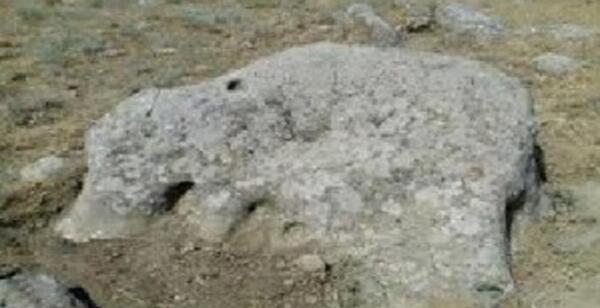عکس فیل در دفینه یابی