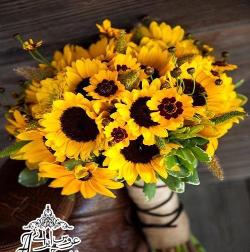 عکس دسته گل آفتابگردان