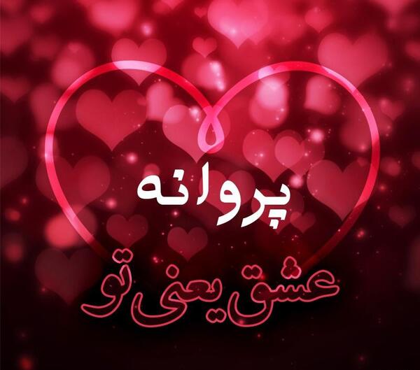 عکس نوشته پروانه دوستت دارم