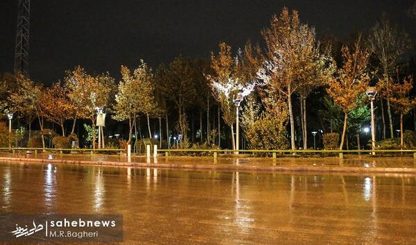 عکس باران شبانه